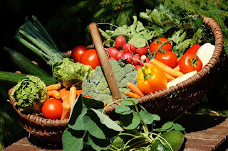 Vitamins and its importance for body functions
