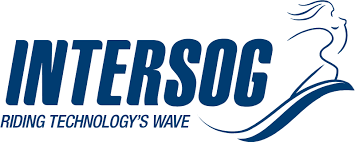 Digyfindy Intersog It Services Illinois Chicago